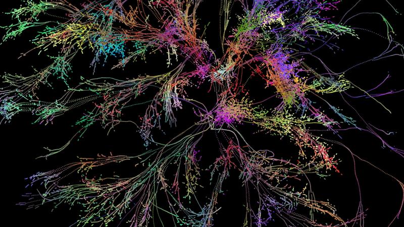 Snapshot of Dan Tapper's emergent work, colorful branches emerging from a black void.