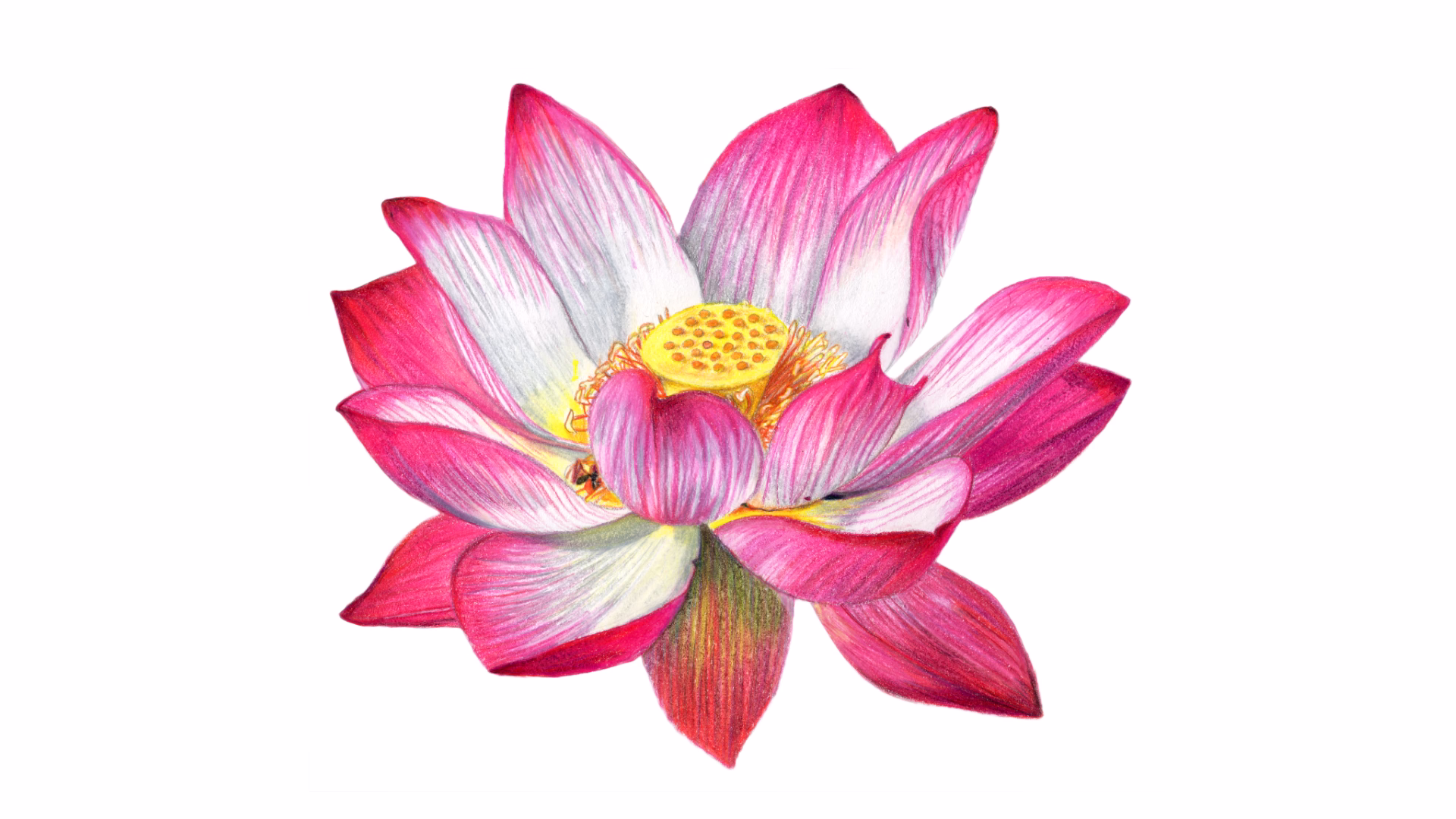 When I create realistic drawings I feel in control